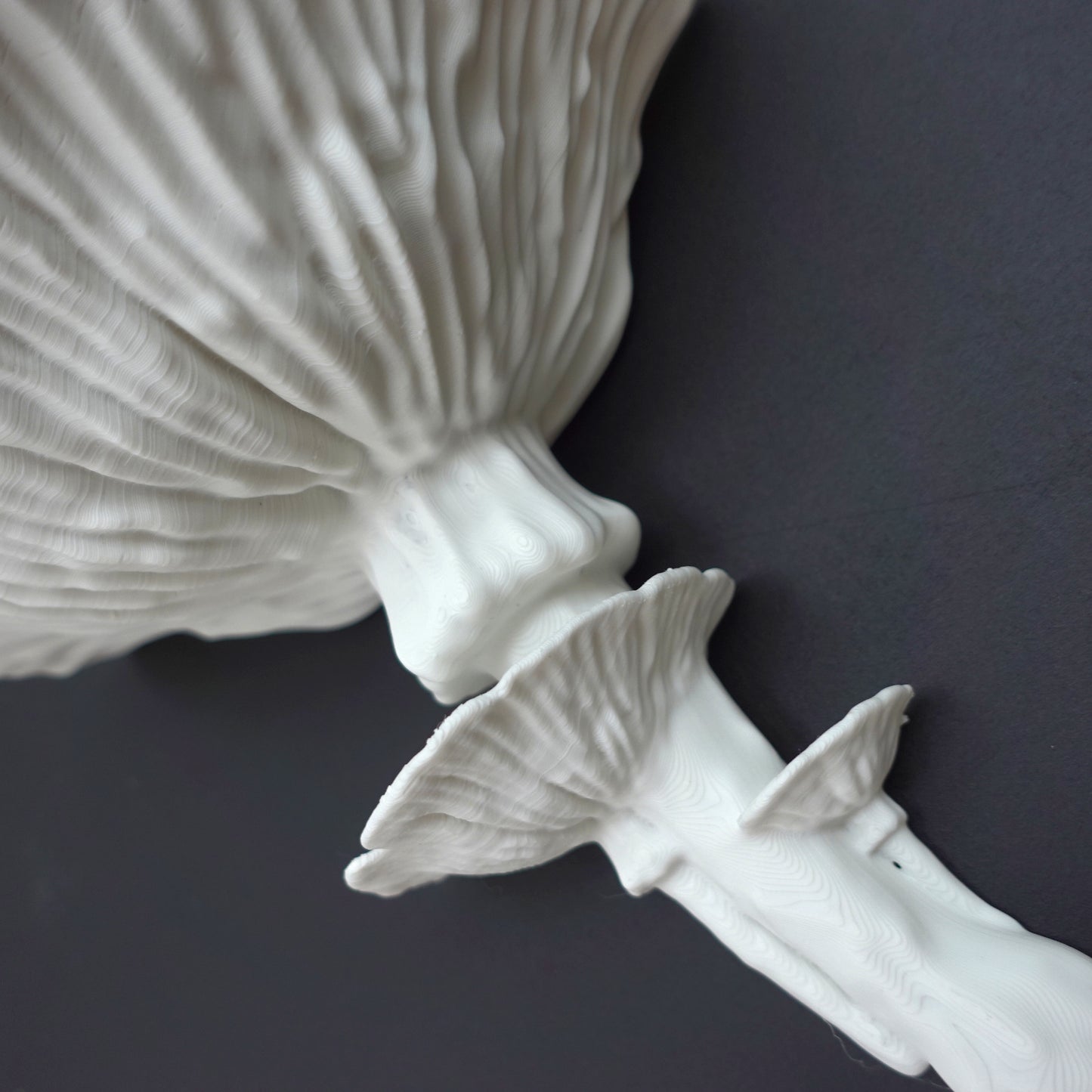Amanita Fungus Shelf