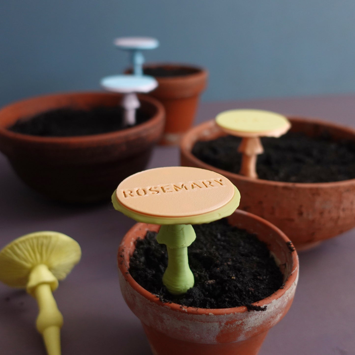 Silvaticus Fungus Plant Identifier Labels 5Ct Holder and Marker
