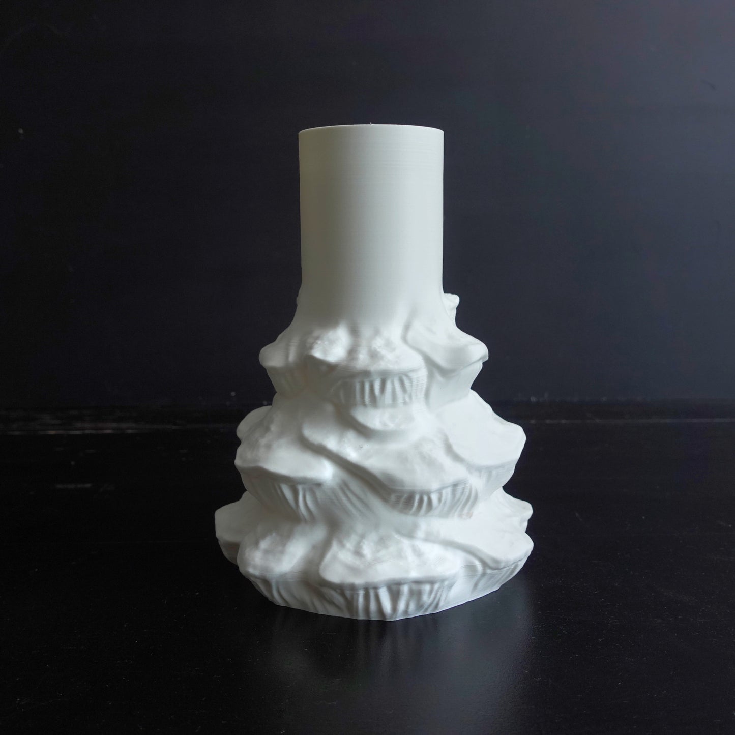 Abietinum Fungus Vase