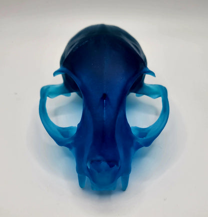 Cat Skull Replica