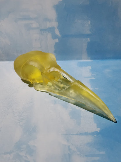 Raven Skull Replica