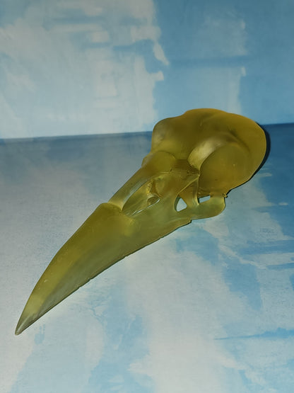 Raven Skull Replica