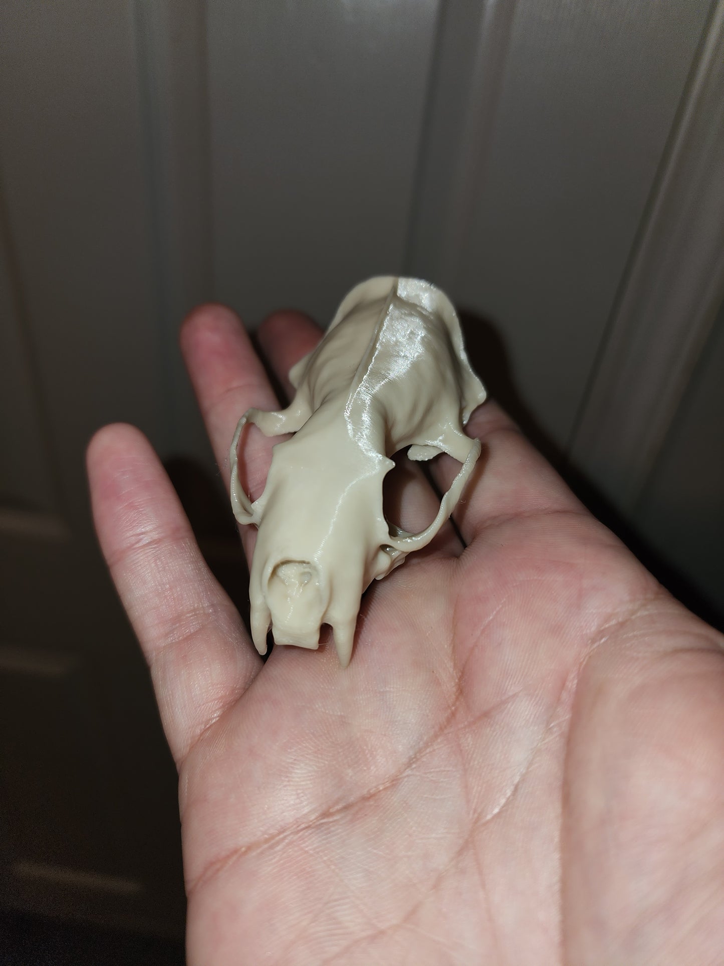 Mink Skull Replica