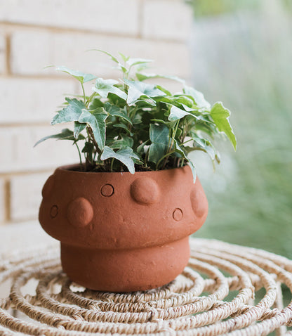 Rakshana Mushroom Plant Pot - Terracotta