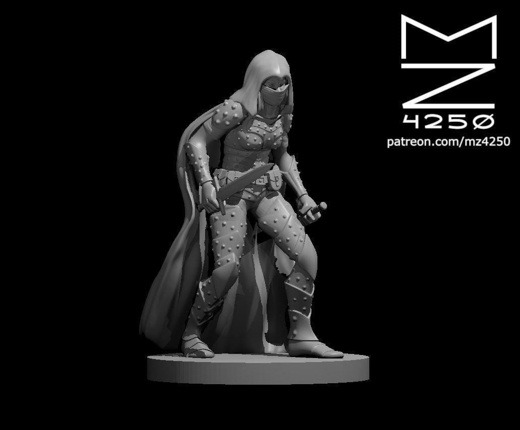 Resin 3D Printed Assassin Mini